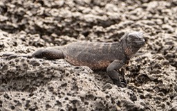 Eckert_240907_1020705