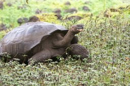 Eckert_240908_1020721