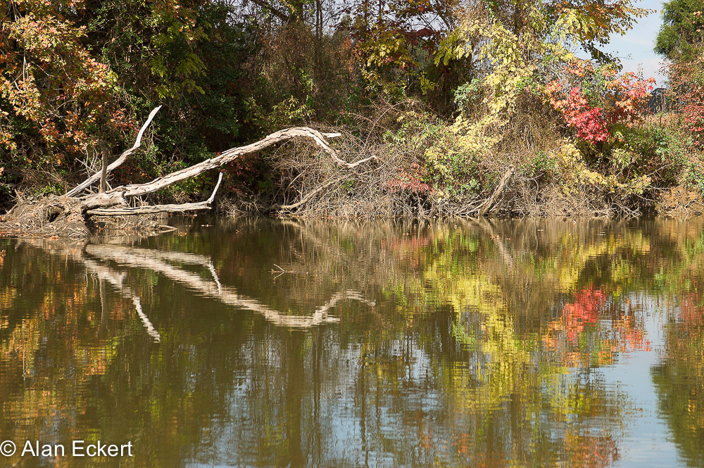 Nanjemoy reflections12