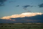 Eckert_060831N4990