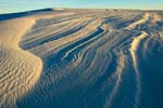Eckert_080108N1484