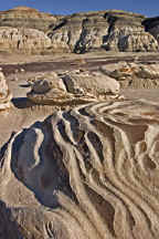 Bisti-Zebra.jpg (35620 bytes)