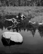 Rock&pond.JPG (47114 bytes)